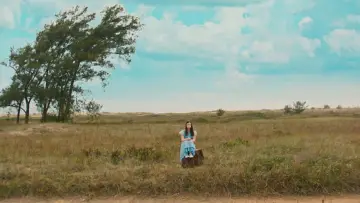 Zasłona do filmu "Colegas e o Herdeiro" #772523
