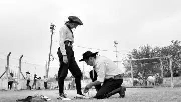 Zasłona do filmu "Gaucho Gaucho" #197745