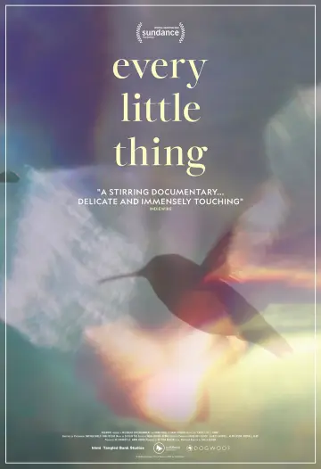 Plakat do filmu "Every Little Thing" #791361