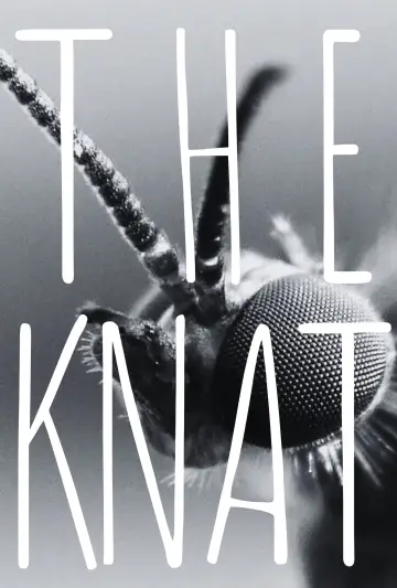 The Gnat