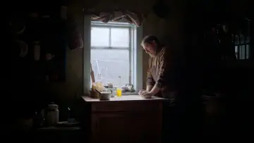 Zasłona do filmu "Сірі бджоли" #694436