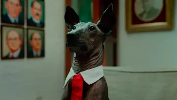 Una Película de Amor y Guerra