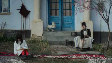 Zasłona do filmu "Maia – Portret cu mâini" #197034