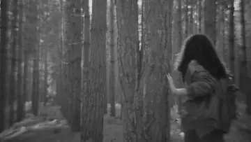 Zasłona do filmu "Wayfaring Stranger" #789074