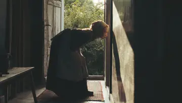 Zasłona do filmu "Wpatrując się w słońce" #523994