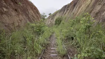 Zasłona do filmu "Congo-Océan, un chemin de fer et de sang" #470268