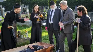 Zasłona do filmu "Odlotowy Frank" #331080