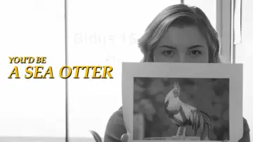 Zasłona do filmu "You’d Be a Sea Otter" #200460