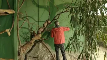 Zasłona do filmu "Até onde o mundo alcança" #465326