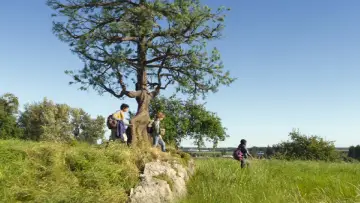 Zasłona do filmu "Podróż bohatera: za kulisami filmu „Percy Jackson i bogowie olimpijscy”" #758382