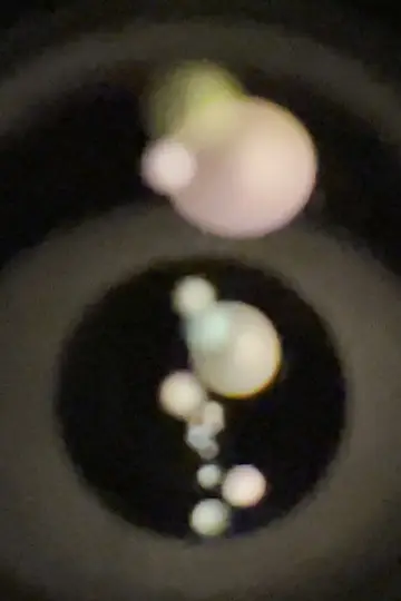 Early Experiments No. 2 / Looking Inside