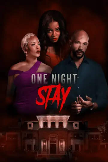 Plakat do filmu "One Night Stay" #199407