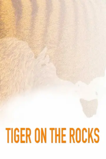 Plakat do filmu "Tiger on the Rocks" #200050