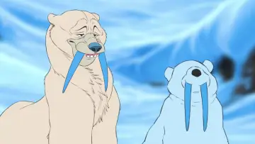 Zasłona do filmu "Snow Bear" #705851