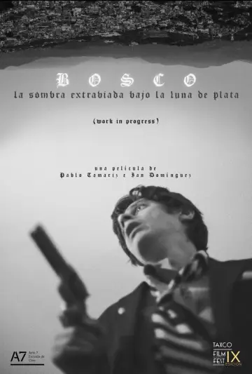 Plakat do filmu "Bosco: La Sombra Extraviada Bajo la Luna de Plata" #480678