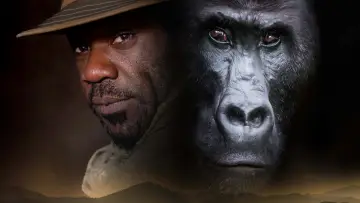 Zasłona do filmu "Silverback" #793830