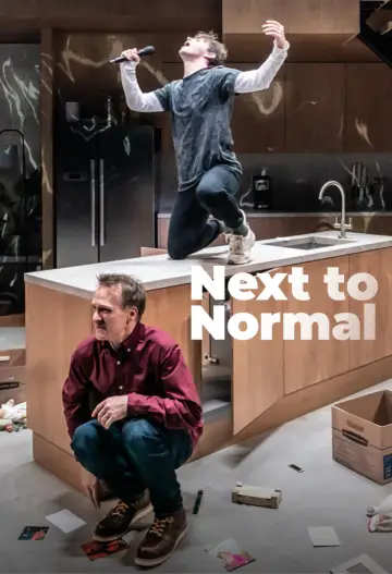 Plakat do filmu "Next to Normal" #978167