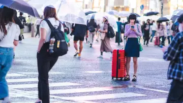 Zasłona do filmu "つゆのあとさき" #1118879