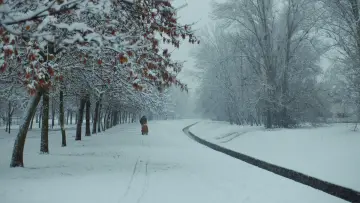 Zasłona do filmu "Mommy Blue" #1143117