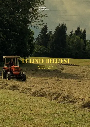 Plakat do filmu "Le linee dell