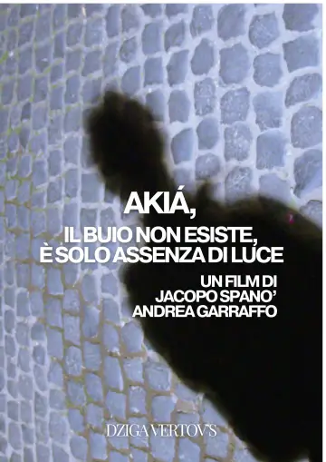 Plakat do filmu "Le linee dell