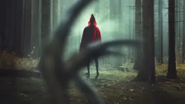 Zasłona do filmu "Kryptyda" #607403