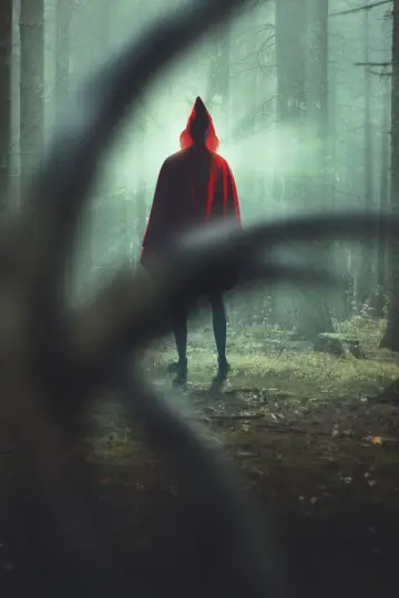 Plakat do filmu "Kryptyda" #607411