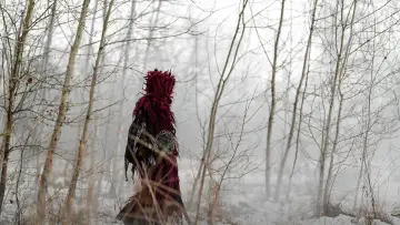 Zasłona do filmu "The Witch. Revenge" #964069