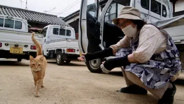Zasłona do filmu "五香宮の猫" #757956