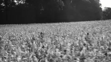 Zasłona do filmu "Springsteen: Ocal mnie od nicości" #550900