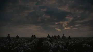 Zasłona do filmu "Grzesznicy" #512496
