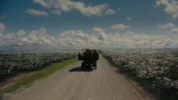 Zasłona do filmu "Grzesznicy" #512612