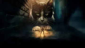 Zasłona do filmu "L