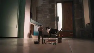 Zasłona do filmu "L