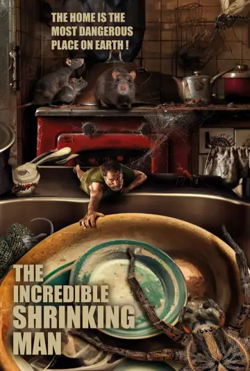 Plakat do filmu "L