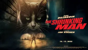 Zasłona do filmu "L