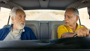 Zasłona do filmu "Cheech & Chong