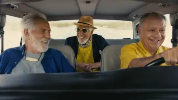 Zasłona do filmu "Cheech & Chong