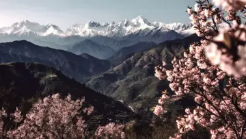 जुगनूमा