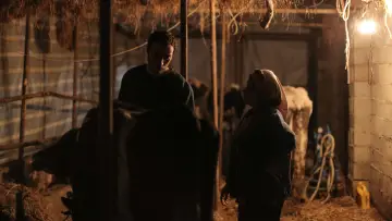 Zasłona do filmu "Wielkie ziewnięcie historii" #368488