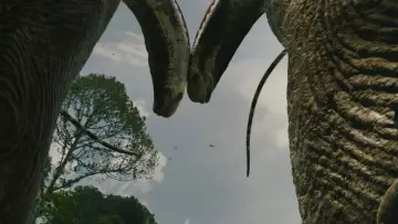 Zasłona do filmu "Jurassic World. Odrodzenie" #511857