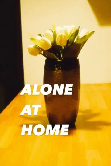 Plakat do filmu "Alone at Home" #355297