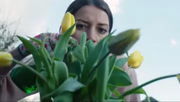 Zasłona do filmu "Die Verdorbene" #791351