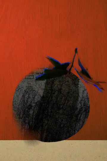 Pomarańcza z Jaffy