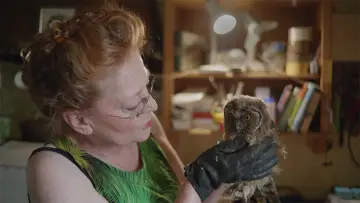 Zasłona do filmu "Finde Vogel" #353915