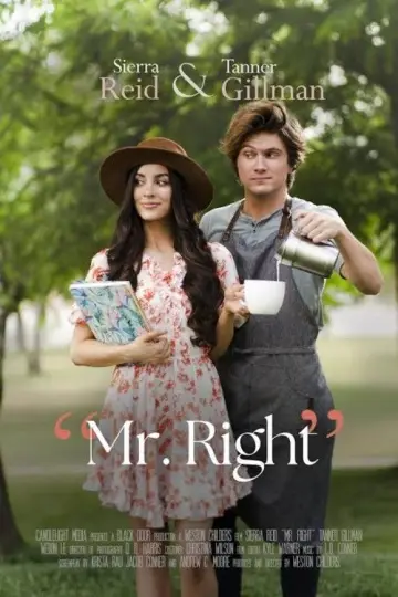 Plakat do filmu "Mr. Right" #715399