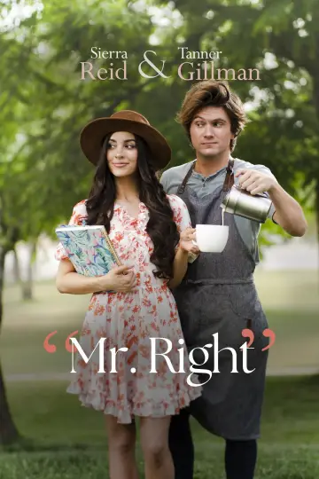 Plakat do filmu "Mr. Right" #715400