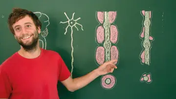 Zasłona do filmu "Toubib, 12 années dans la vie d