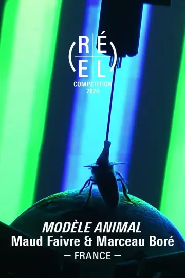 Modèle Animal