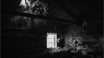 Zasłona do filmu "Sny o pociągach" #1178944
